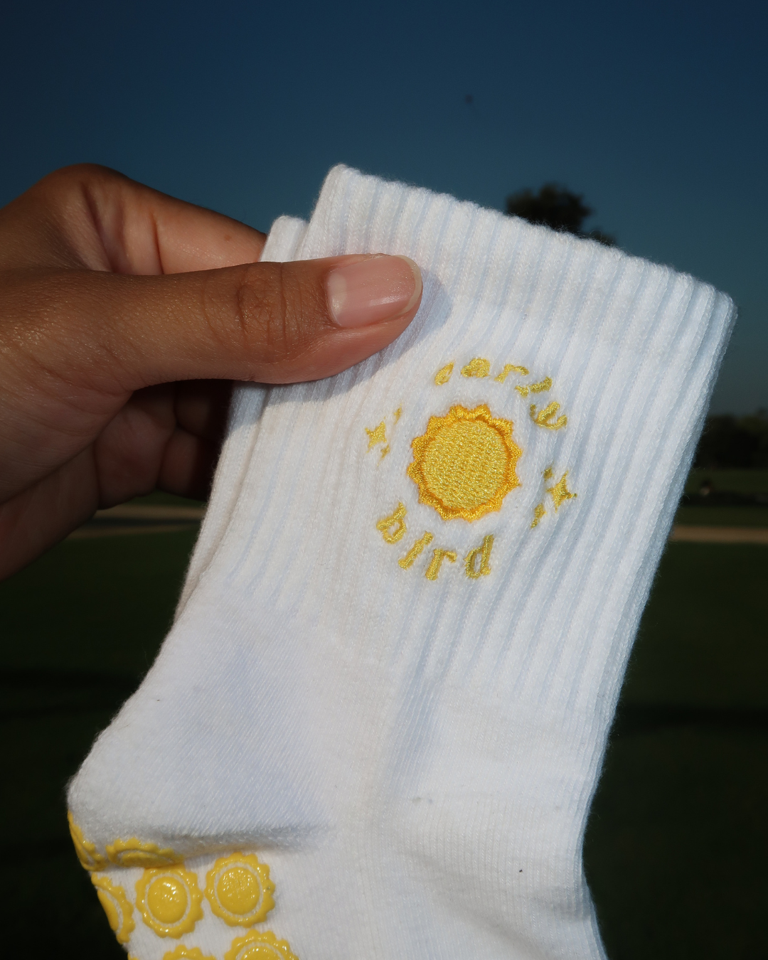 early bird grip socks