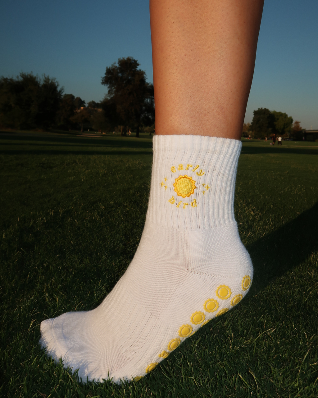 early bird grip socks